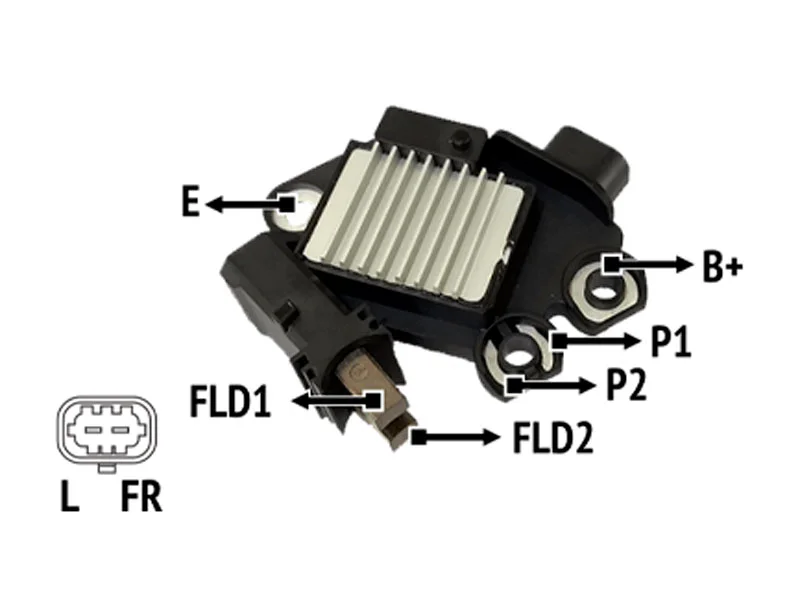 RNV 18S146          
